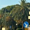 azdjelar80